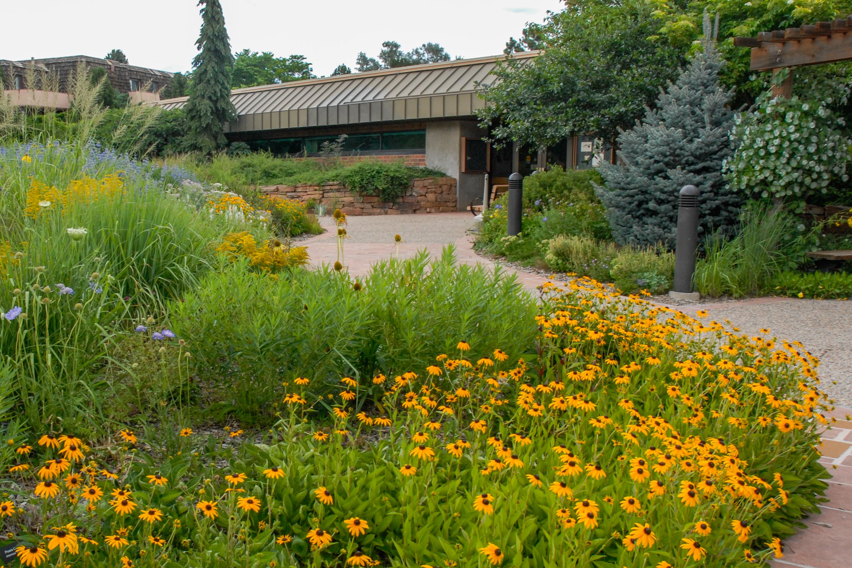 Mesa Road Garden